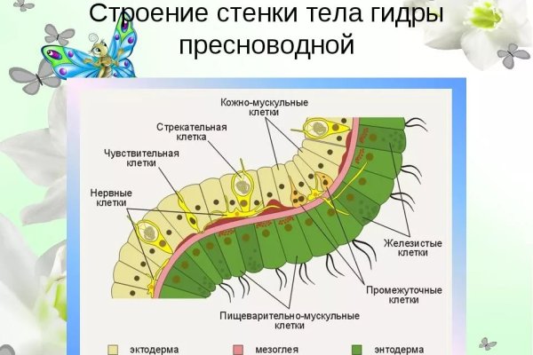 Как пополнить кракен