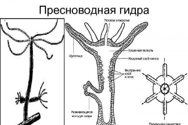 Kraken ссылка тор 2krnk biz